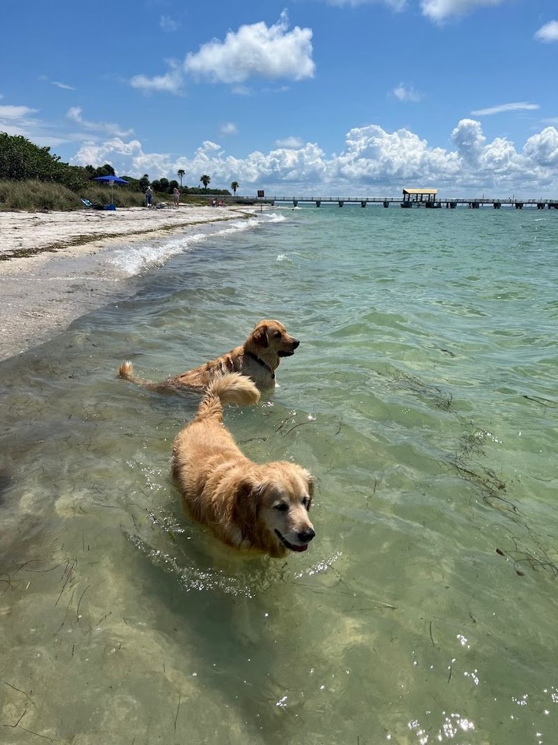 Fort De Soto Dog Park - St. Petersburg, Florida