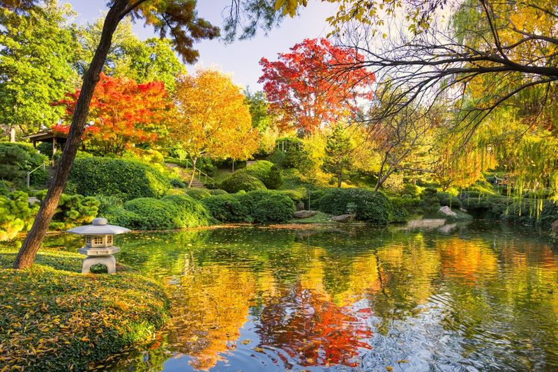 Fort Worth Japanese Garden - Fort Worth, Texas