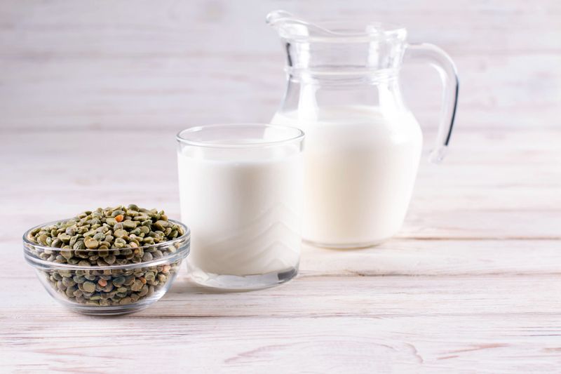 Fortified plant milk