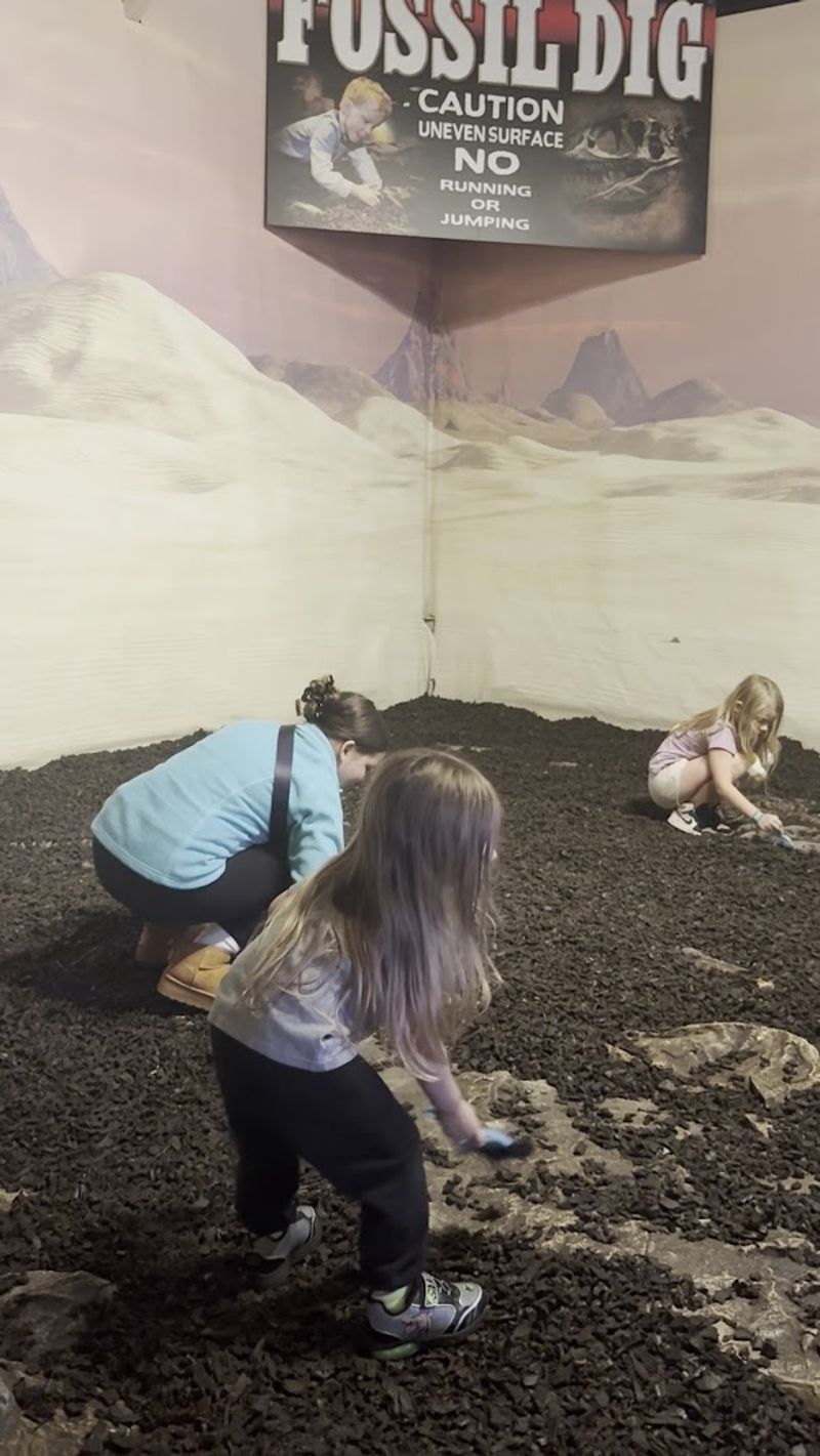 Fossil Dig Area for Budding Paleontologists