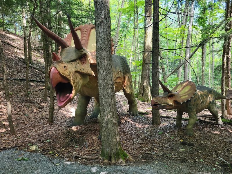 Fossil Dig Site: Young Paleontologists Welcome