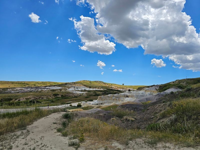 Four Miles of Trails Perfect for Every Fitness Level