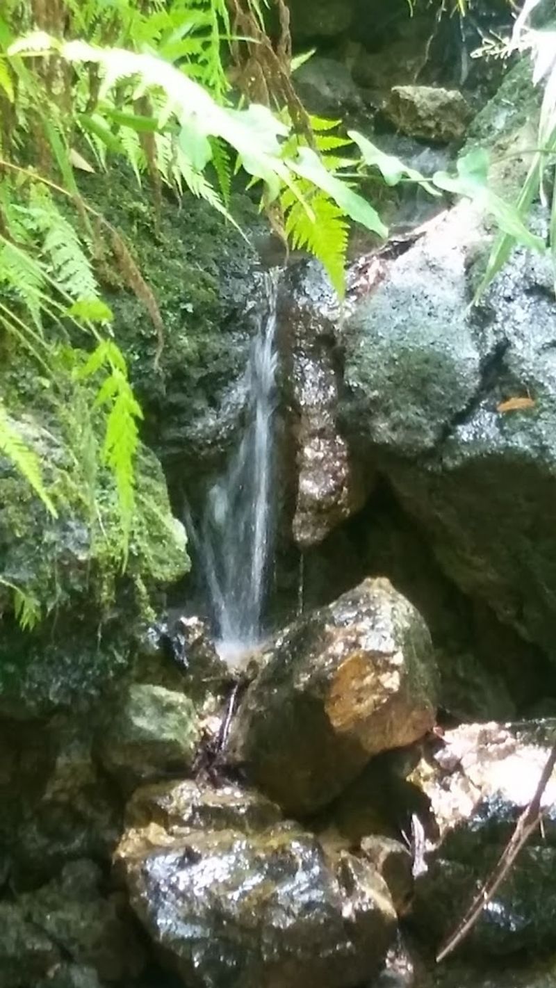Fourteen Tiny Waterfalls Cascading Down the Walls