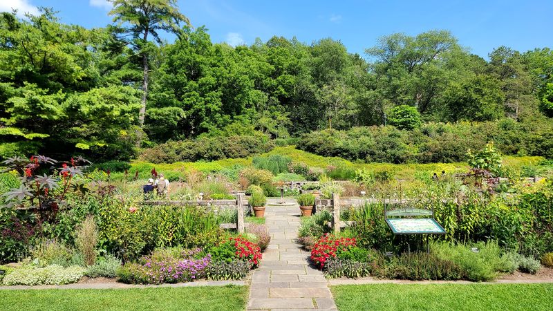Free Admission Makes It Accessible for Everyone