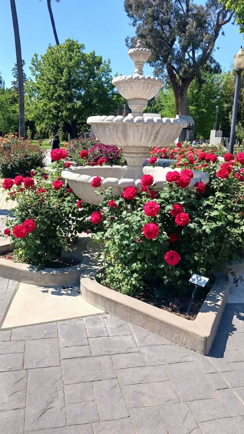 Free Admission Makes It One of Sacramento's Best Deals