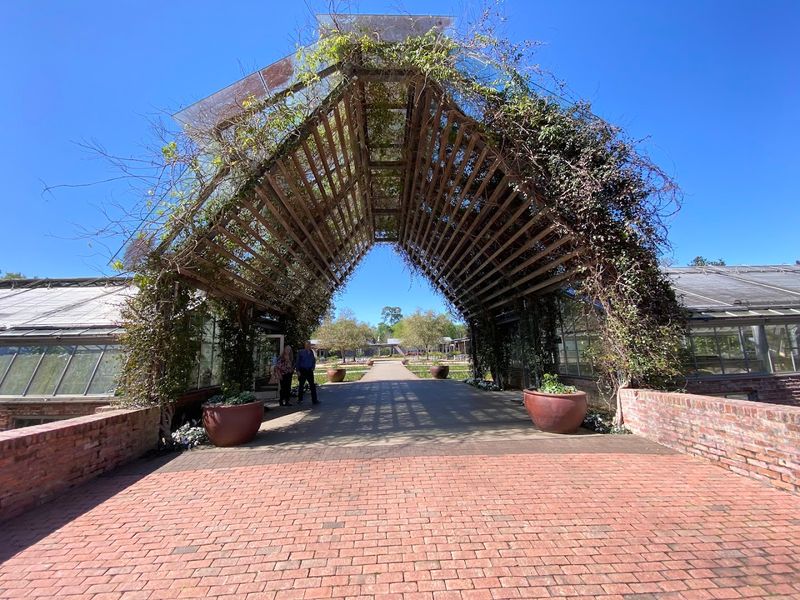 Free Admission That Makes Every Visit Feel Like a Gift