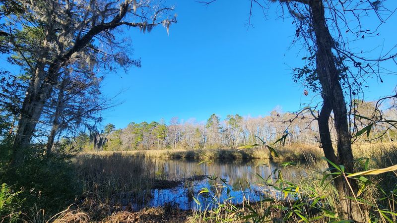 Free Grounds Access and Peaceful Nature Trails