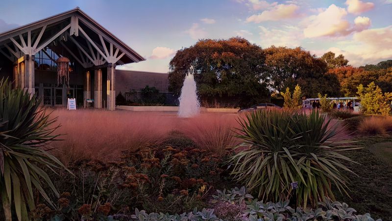 Free Guided Tram Tours That Bring the Garden to Life