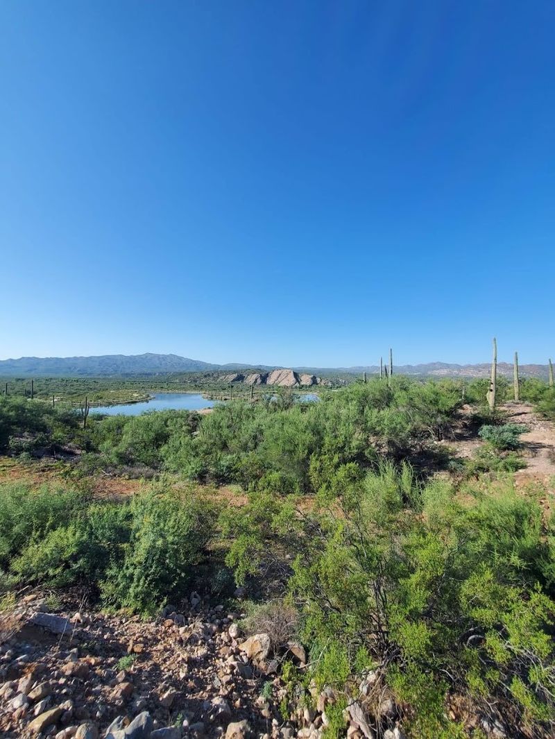 Fresh Desert Air That Clears Your Head