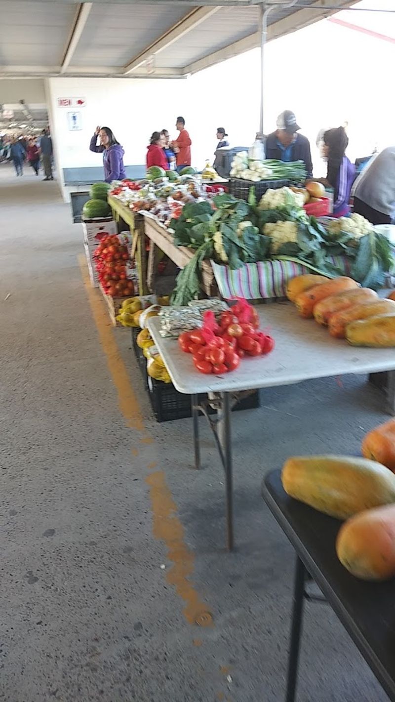 Fresh Fruits and Vegetables at Prices You Will Love
