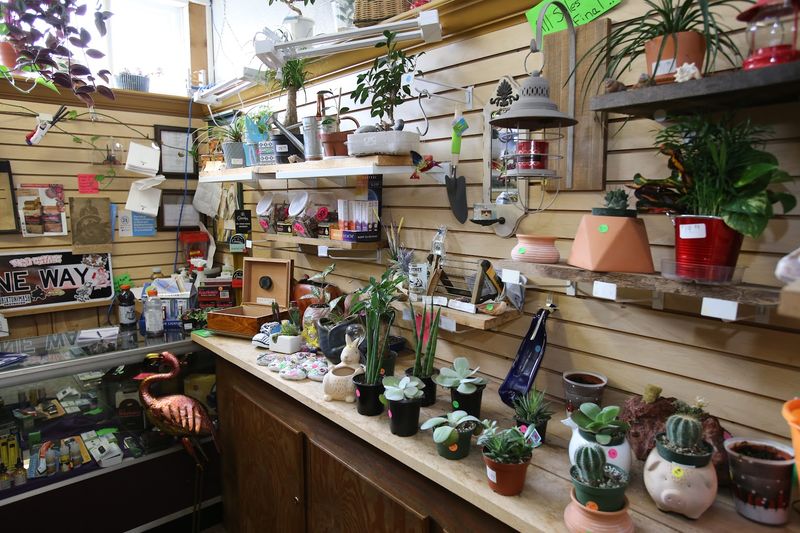 Fresh Produce, Plants, and Flowers From Local Vendors