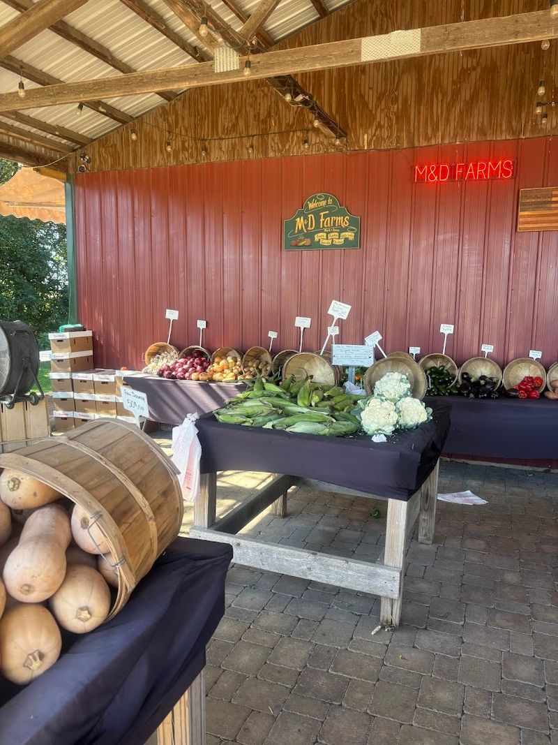 Fresh Produce Straight From the Field Fresh Produce Straight From the Field