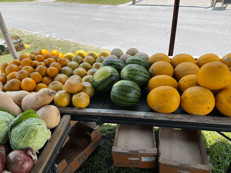 Fresh Produce and Local Fruits You Cannot Miss