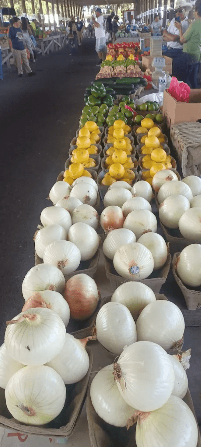 Fresh Produce and a Thriving Farmers Market Vibe