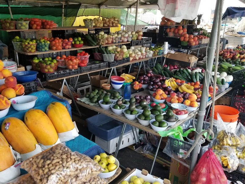 Fresh Produce at Prices That Actually Make Sense