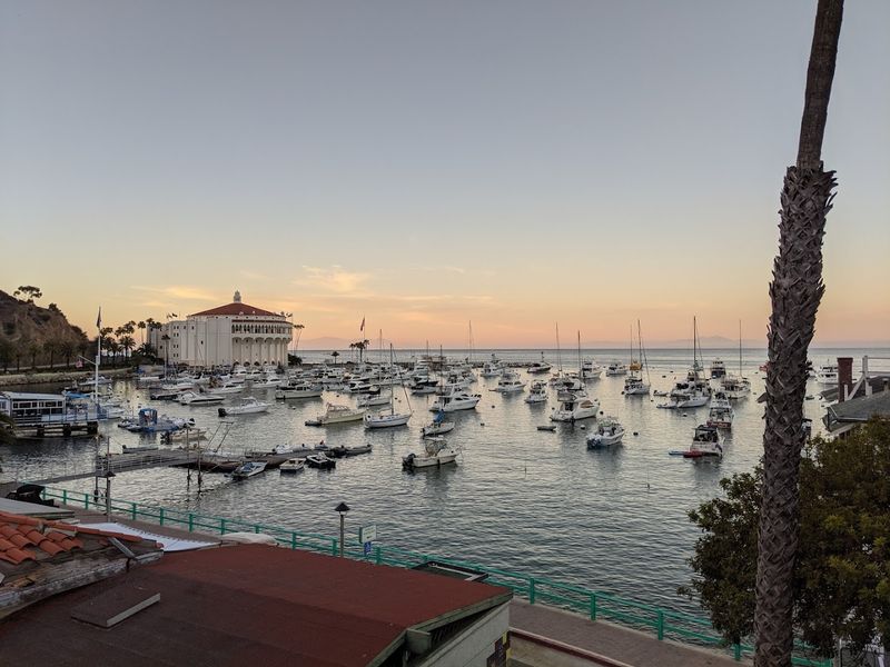 Fresh Seafood Dining With a View of the Harbor