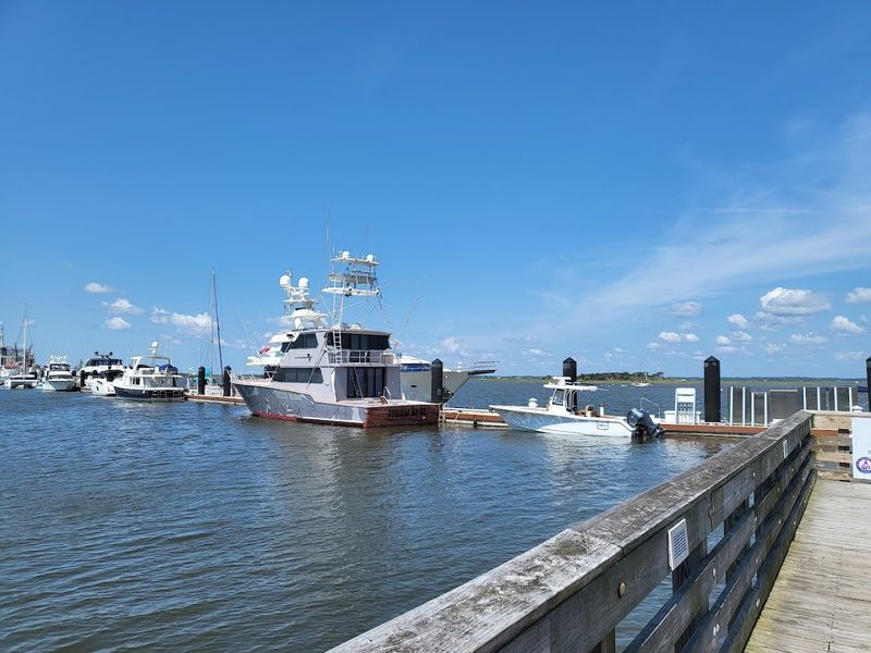 Fresh Seafood Scene: From the Dock to Your Fork
