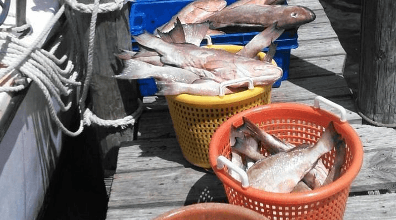Fresh Seafood That Will Ruin You for Everything Else
