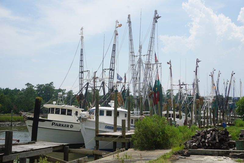 Fresh Shrimp Straight from the Boat
