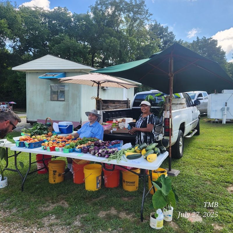 Fresh Vegetables Straight From Local Growers