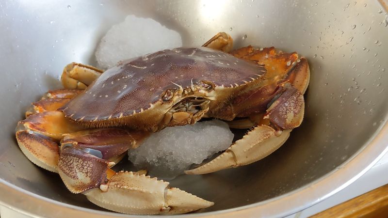 Fresh and Local Seafood Quality
