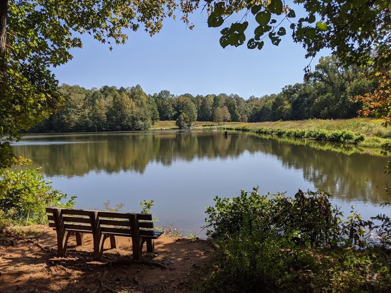 Friendly Staff and Camp Hosts: Hospitality That Stands Out