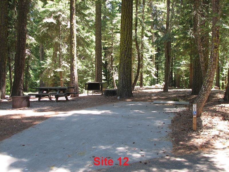 Friendly Staff and Camp Hosts Who Go the Extra Mile