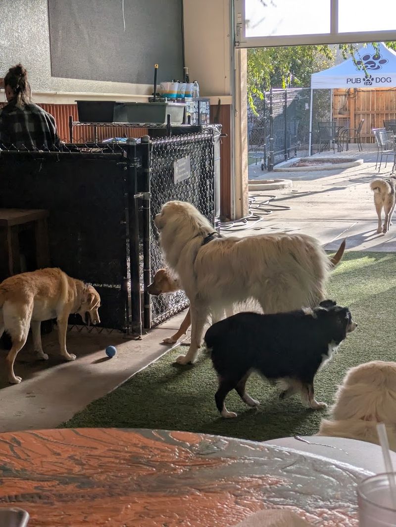 Friendly and Attentive Staff Who Actually Care