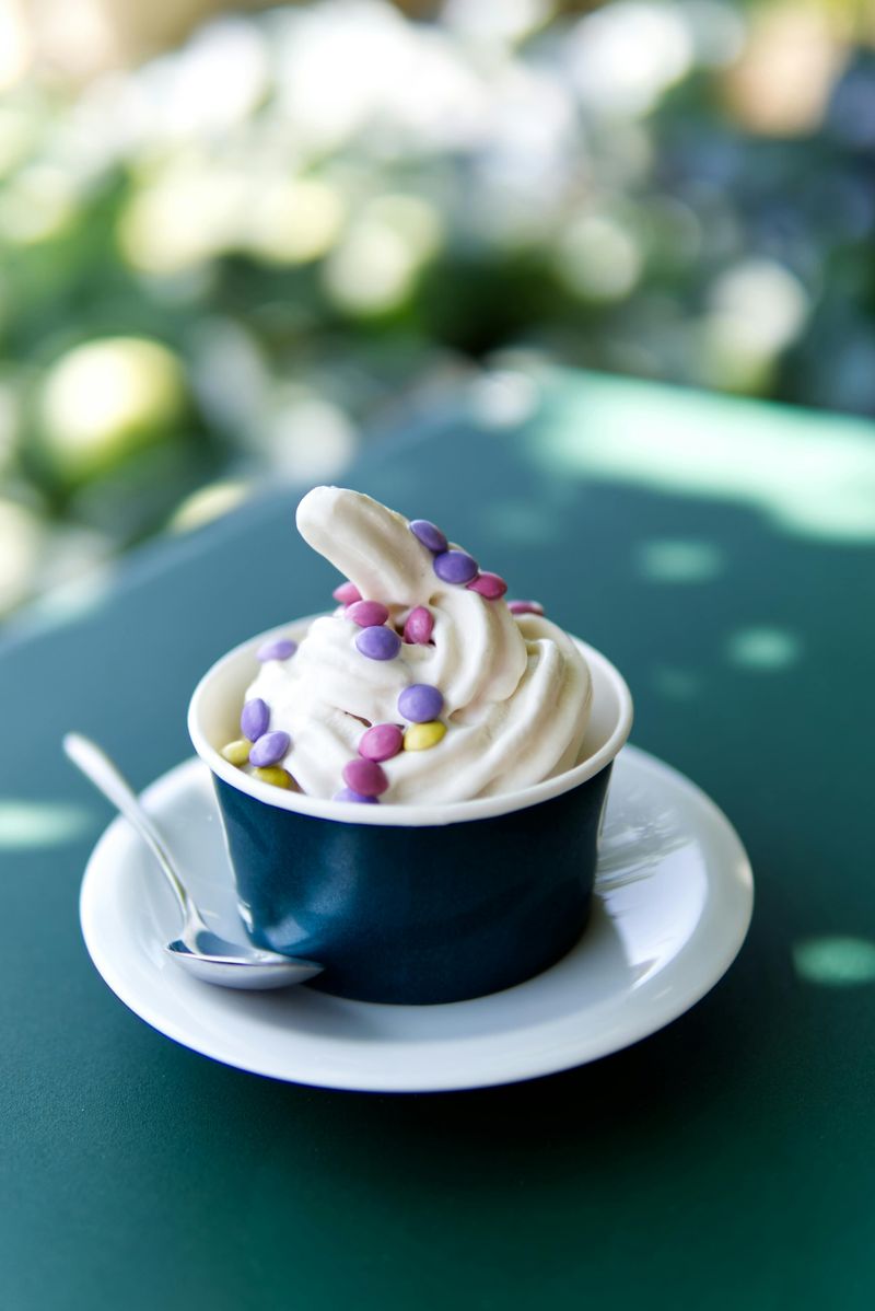 Frozen Yogurt