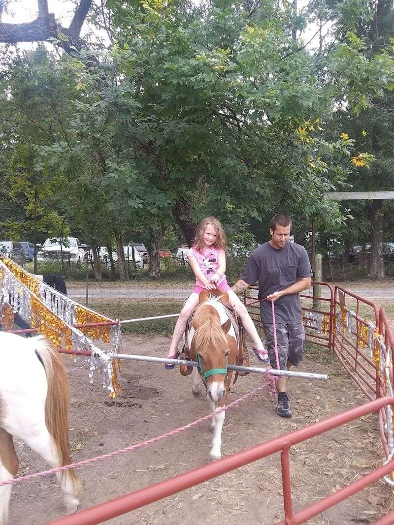 Fun Activities for Kids and Families