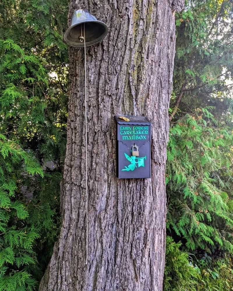 Fun Interactive Features Tucked Throughout the Forest Fun Interactive Features Tucked Throughout the Forest