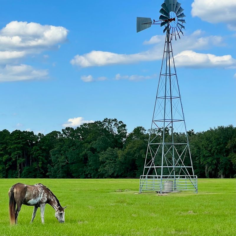 Gadsden County's Hidden Green Spaces