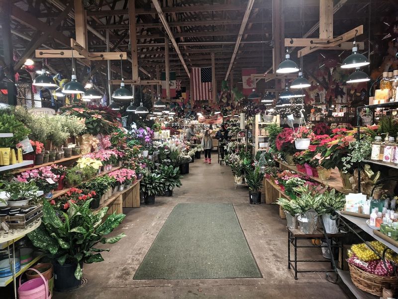 Garden Center Full of Plants, Flowers, and Shrubs Garden Center Full of Plants, Flowers, and Shrubs