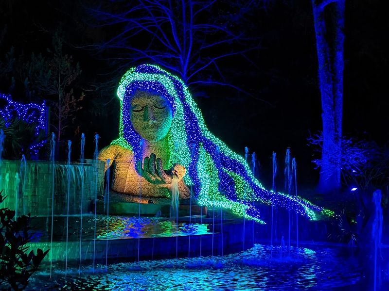 Garden Lights Holiday Nights: Pure Magic After Dark