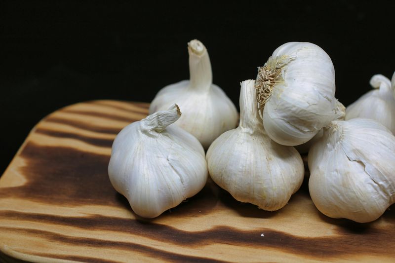 Garlic Garlic