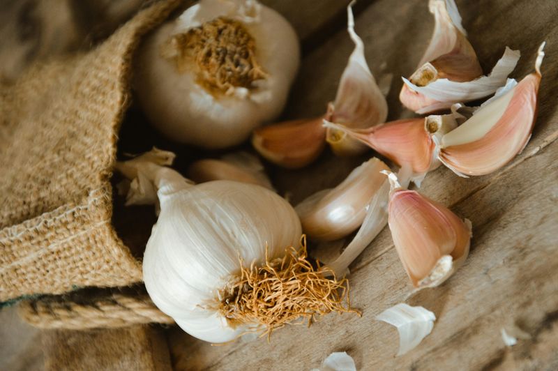 Garlic