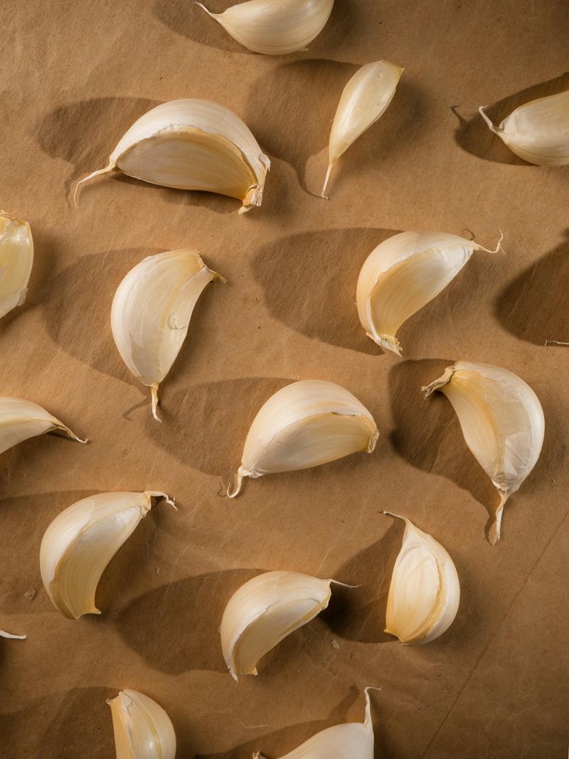 Garlic