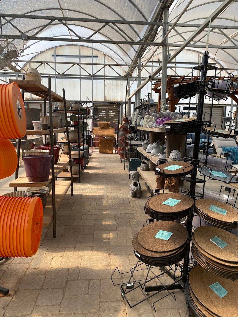 Gas-Powered Equipment and Stihl Dealership That Surprises Everyone Gas-Powered Equipment and Stihl Dealership That Surprises Everyone