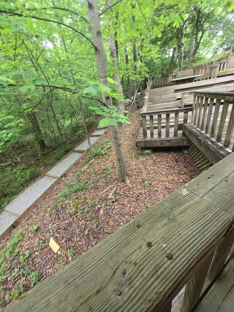 Geocaching Adventures: A Treasure Hunt for All Ages