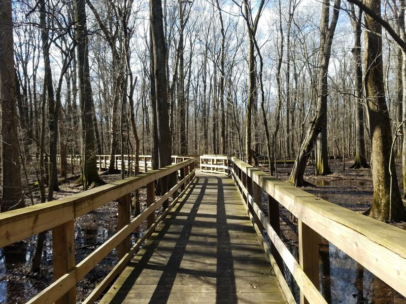 Geocaching Adventures Hidden in Plain Sight