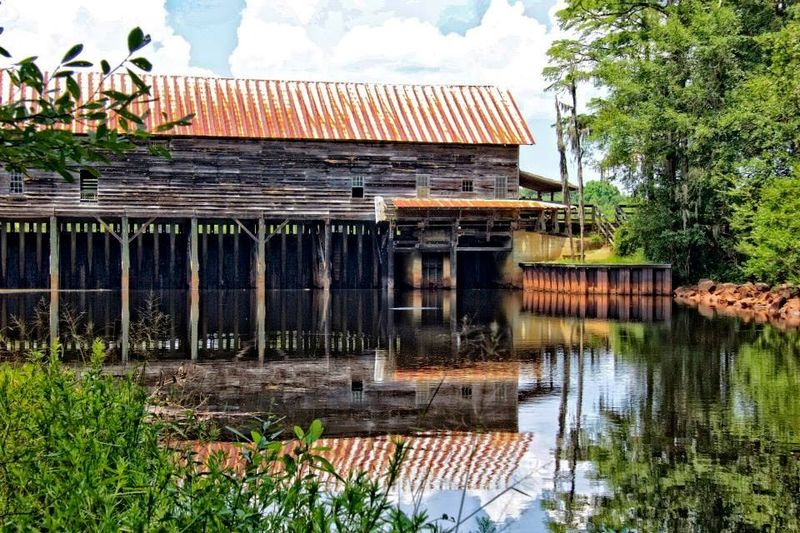 George L. Smith State Park - Twin City, Georgia