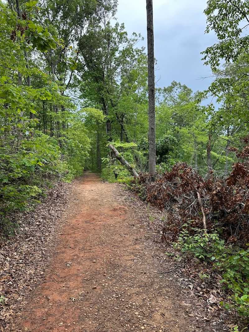 Getting There: Parking and Road Conditions