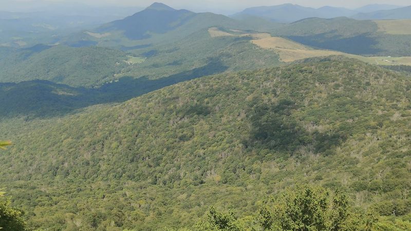 Getting There: The Scenic Drive to Todd, NC