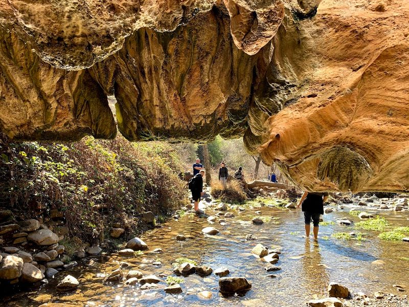 Getting There: The Trail Down to the Cave