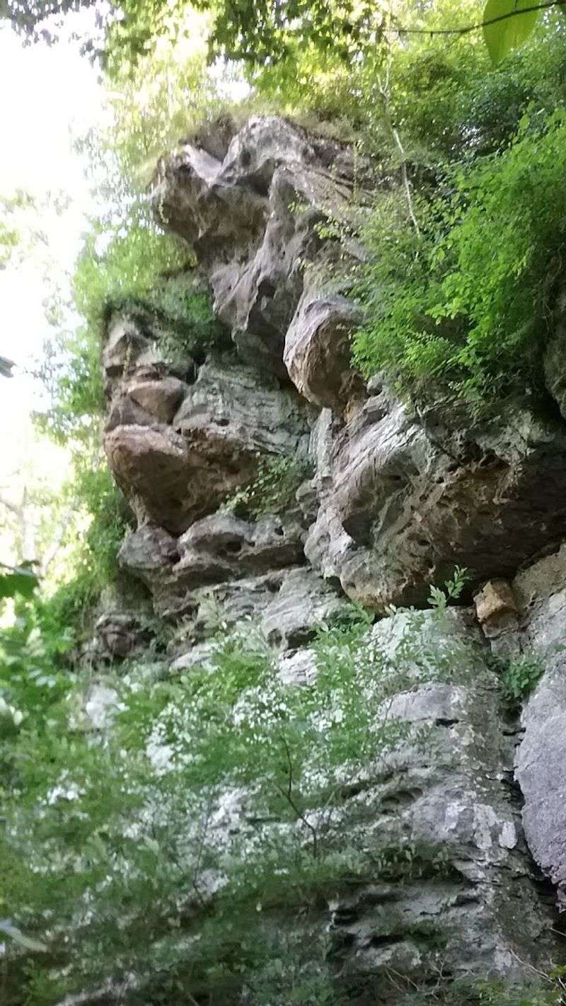 Giant City State Park: A Natural Wonder Right Next Door