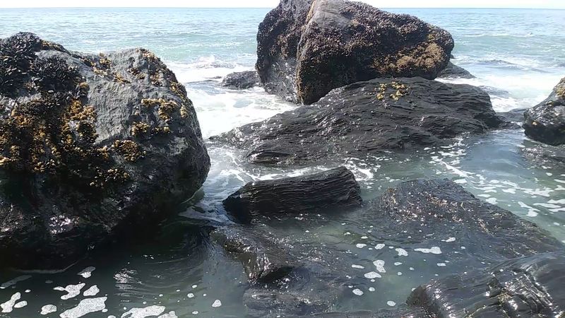Gold Bluffs Beach — Rugged Coastline at Its Finest