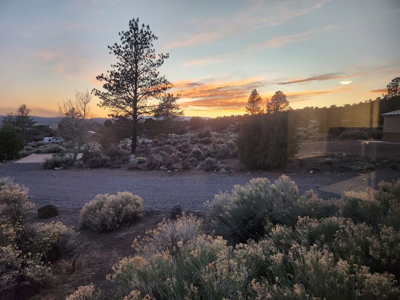 Gorgeous Desert Flora and Natural Landscaping