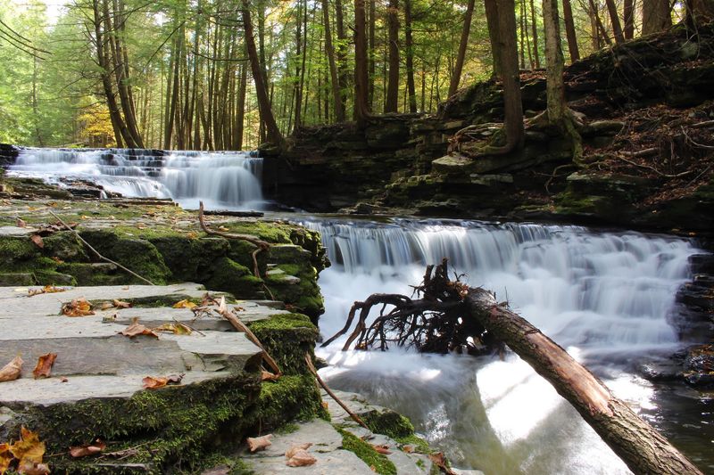Gorgeous Fall Foliage That Transforms the Entire Park