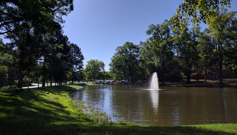 Green Spaces and Outdoor Recreation
