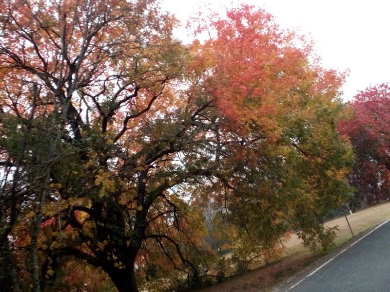 Greenwood, South Carolina